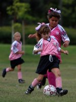 Vanessa behind a Panther