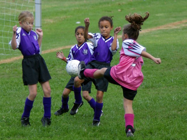 Chandler tries unsuccessfully to shoot past three puppies