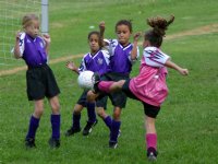 Chandler tries unsuccessfully to shoot past three puppies