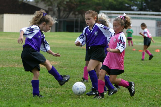 Chandler vs two puppies