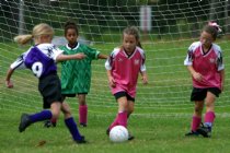 Frankie and Natalie defend against a puppy attack