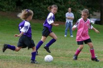 Frankie vs two puppies