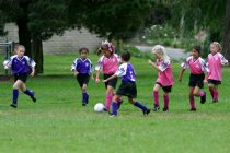 Kelsey, Sara, Maryam, and Chandler vs three puppies