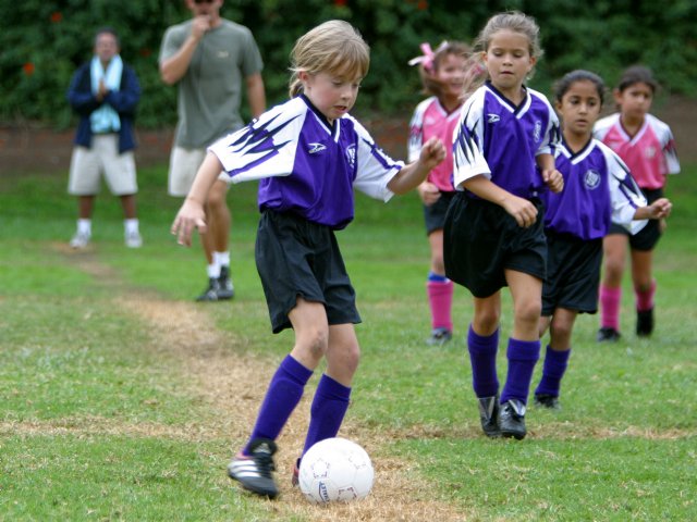 Puppy defender on the midfield line