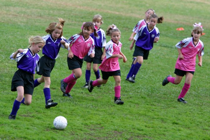 Pack viewed from above