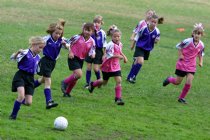 Pack viewed from above