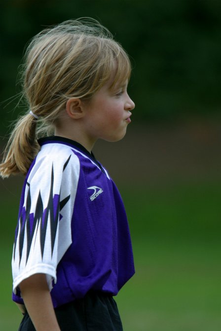 Puppy defender in profile