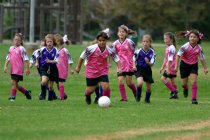 Vanessa leads the pack