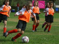 Four Tigers in front of the Heartbreakers banner