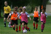 Natalie and Walden vs three Tigers