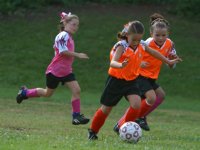 Natalie trails two Tigers