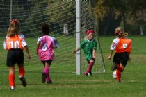 Sara defends against a Tiger attack