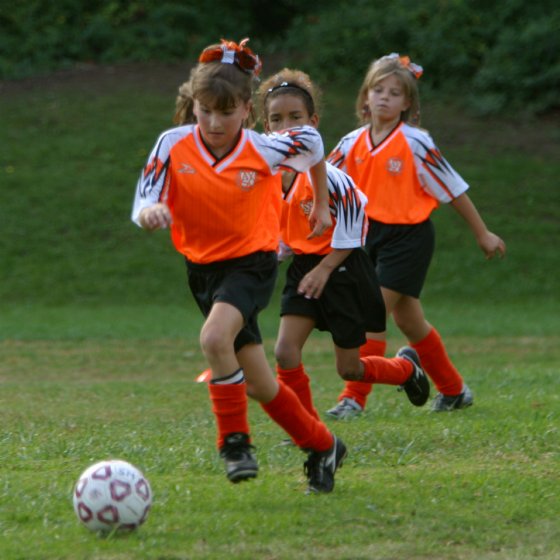 Three Tigers in a line