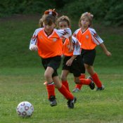 Three Tigers in a line