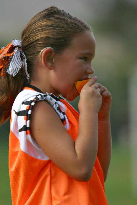 Tiger eating an orange slice