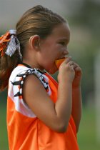 Tiger eating an orange slice