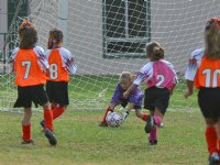 The Tiger goalie catches a shot from Chandler
