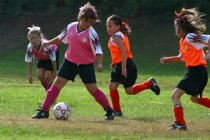 Vanessa menaced by two Tigers while Natalie watches