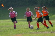 Natalie and Chandler vs two Tigers