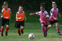 Walden and Natalie vs two Tigers