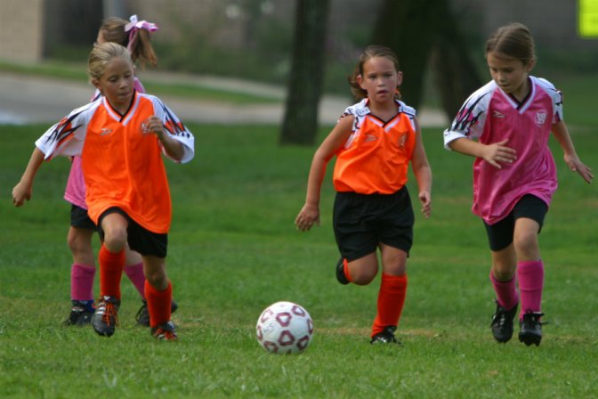 Two Tigers vs Frankie