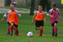 Two Tigers vs Frankie