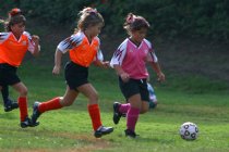 Vanessa trailed by two Tigers