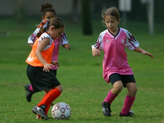 Walden and Frankie vs a Tiger