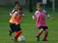 Walden and Frankie vs a Tiger