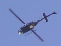 Twin blade from below