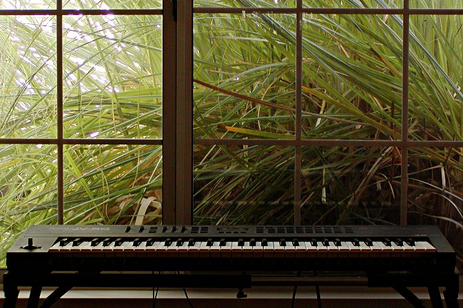 Sooth the savage pampas grass