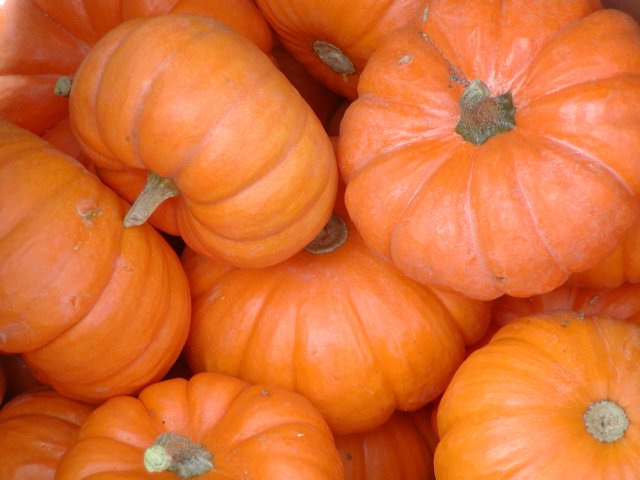Pumpkins
