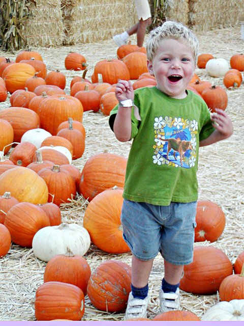 Timothy in the Pumpkin Patch