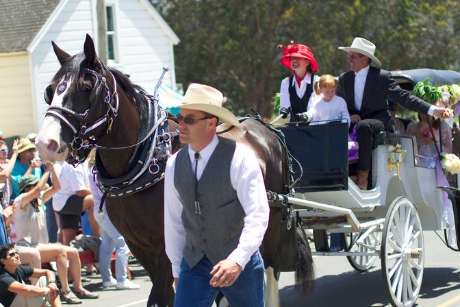 Horse Drawn Carriage