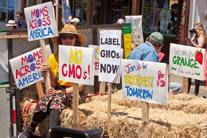 Anti GMO2
