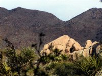 Bright Rock and Dark Hill