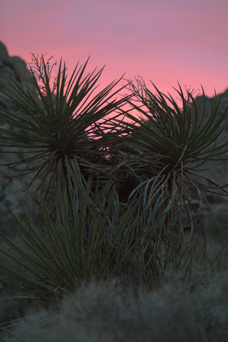 Saturday sunset, III