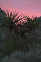 Saturday sunset, III