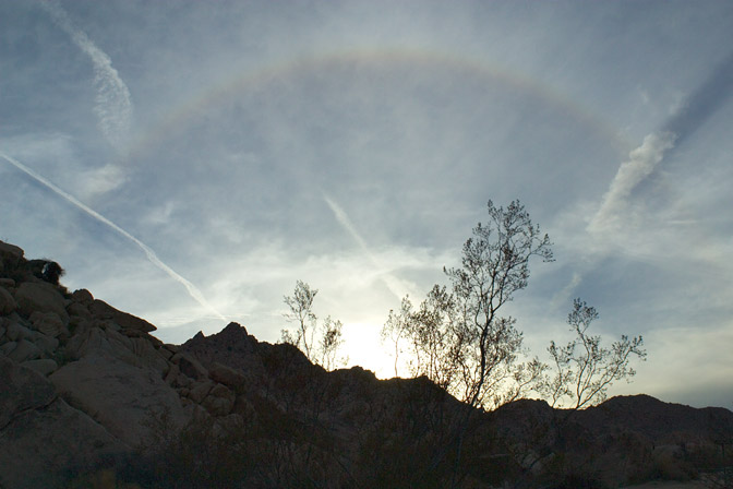 Sunset Rainbow with Bush
