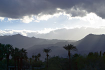 Palm Desert