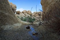 Water in the desert