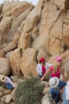 Diana Sara And Timothy