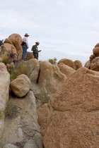 Scott And Steven Scout The Way