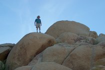 Scott Rocktop Silhouette