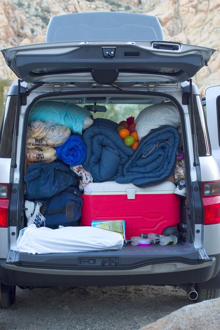 Stuffed Honda Element