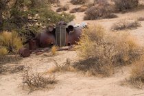 Derelict Car