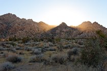 Late Afternoon Sun, II