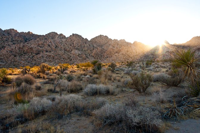 Late Afternoon Sun, III