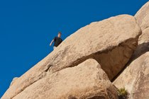 Timothy Scrambling, II