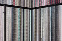 Agnes Varda In Californialand, II